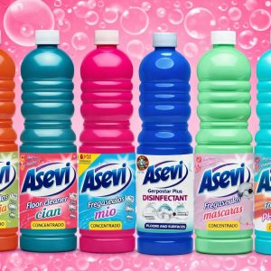 Asevi Floor Cleaners